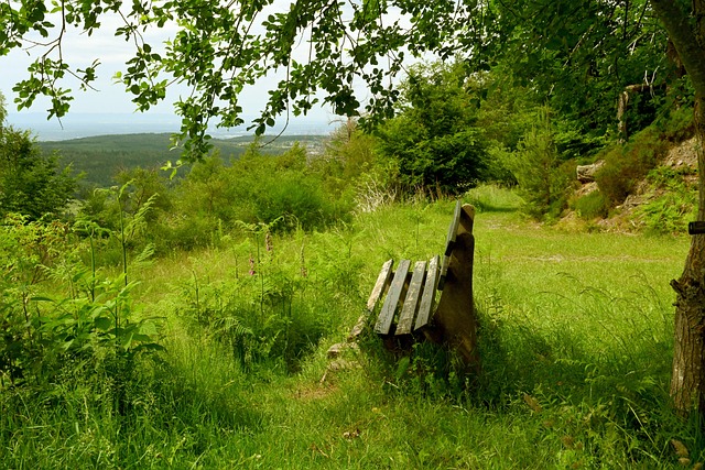 感到深深的 感到深深的