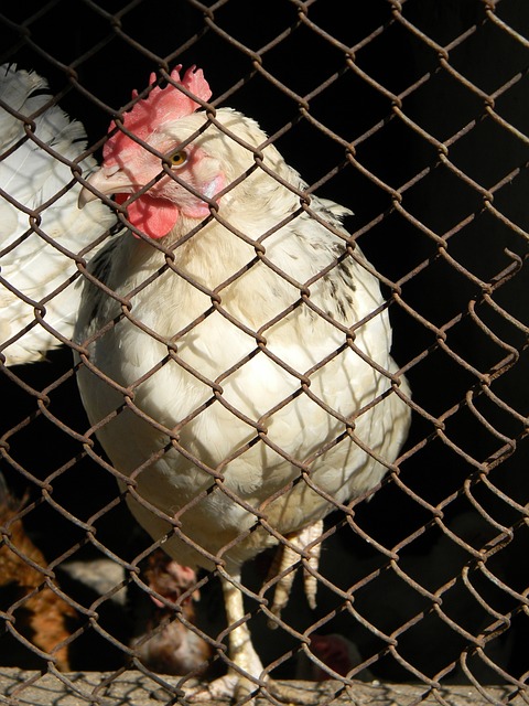 联合再创惊 联合再创惊