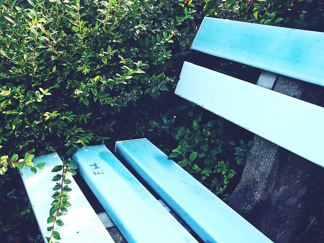 而今年同样 而今年同样