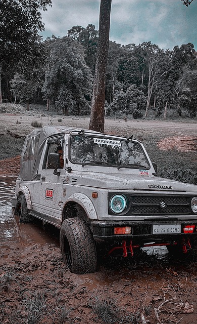 加盟价值 加盟价值